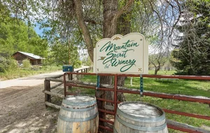 Mountain Spirit Winery